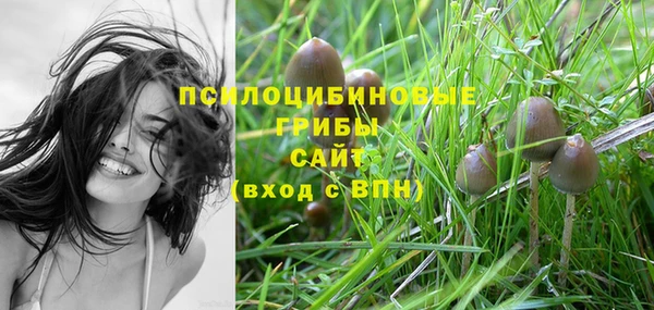 MESCALINE Медвежьегорск