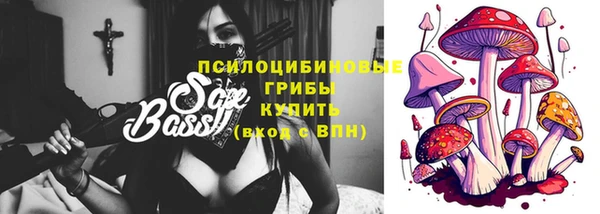 молекула духа Майский