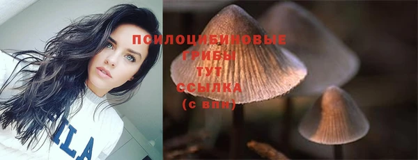 марихуана Магадан
