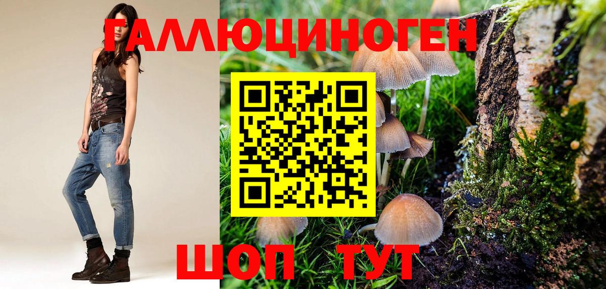 Галлюциногенные грибы GOLDEN TEACHER  Вход с VPN  Нижний Тагил 