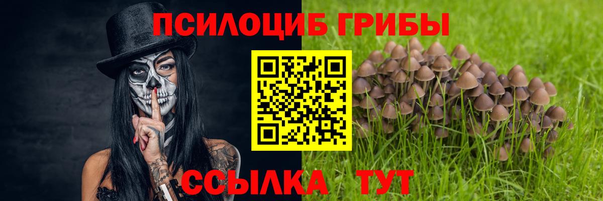 Галлюциногенные грибы мицелий Нижний Тагил
